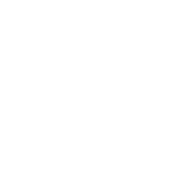 Slots Animal Casino